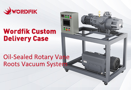 Lieferung des kundenspezifischen ölgedichteten Rotorflügel-Roots-Vakuumsystems von Wordfik
