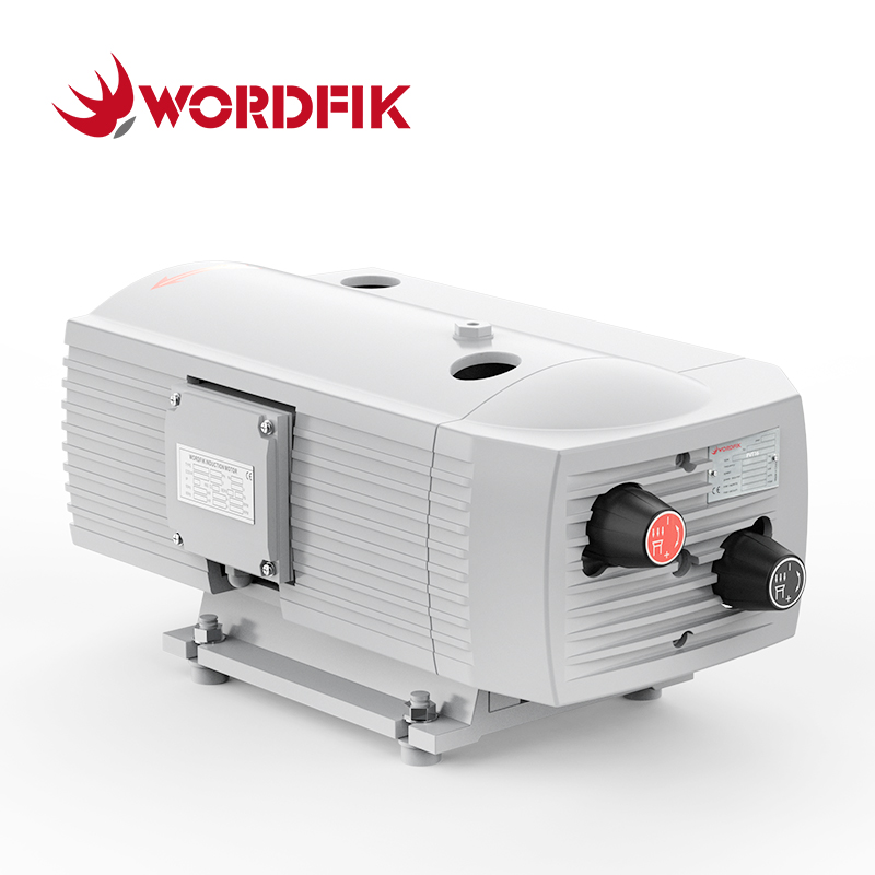 Wordfik Pvt16 Trockener Drehflaufblatt Vakuumdruckverbindung Pumpe 16 m³/h 20 m³/h ± 600 mbar