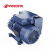 Wordfik Pvx16 kleiner ölversiegelter Rotationsschaufel Vakuumpumpe 16-19m³/h
