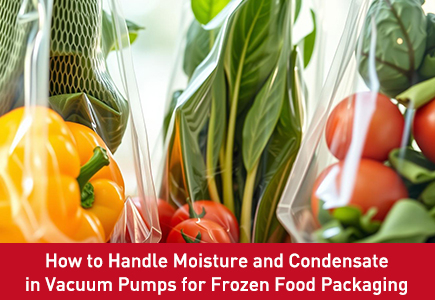 How to Handle Moisture and Condensate in Vacuum Pumps for Frozen Food Packaging.jpg