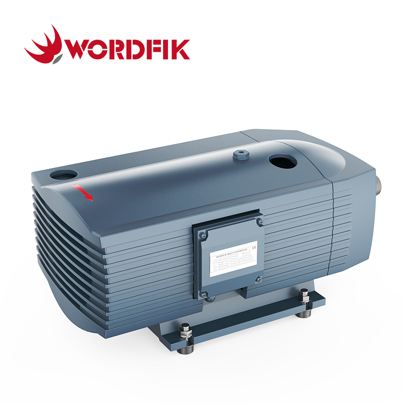 Wordfik Pvt16 Trockener Drehflaufblatt Vakuumdruckverbindung Pumpe 16 m³/h 20 m³/h ± 600 mbar