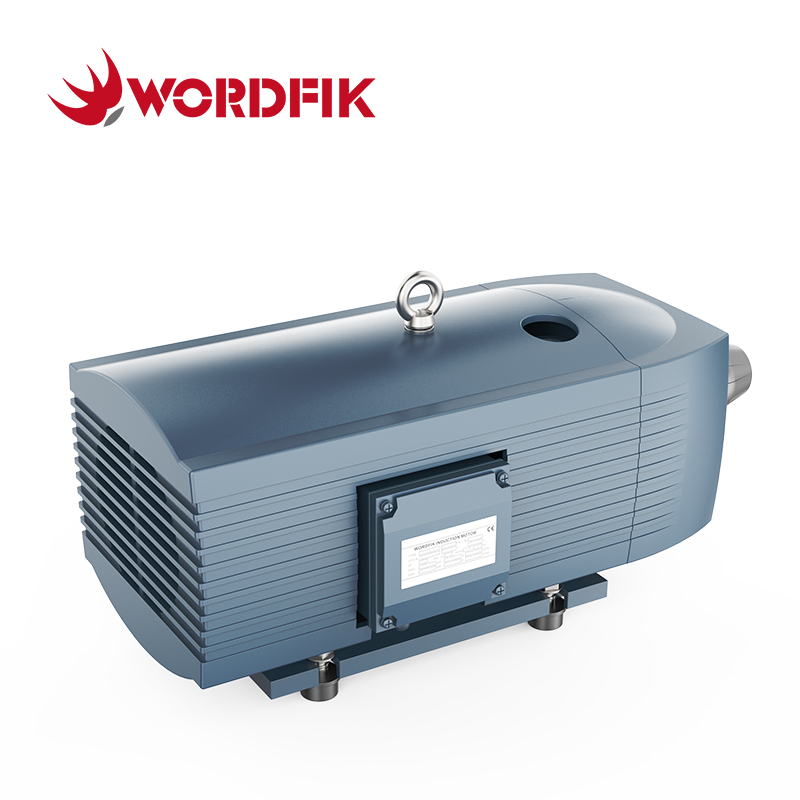 40 m³/h 48 m³/h VD40 Trockener Drehschaufel Vane Vakuumpumpe