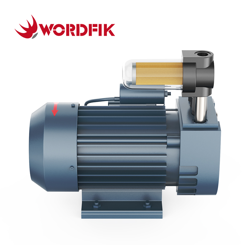 Wordfik VD8 8-9,6 m³/h 150mbar Trockendrehungsschaufel Van Vakuumpumpe
