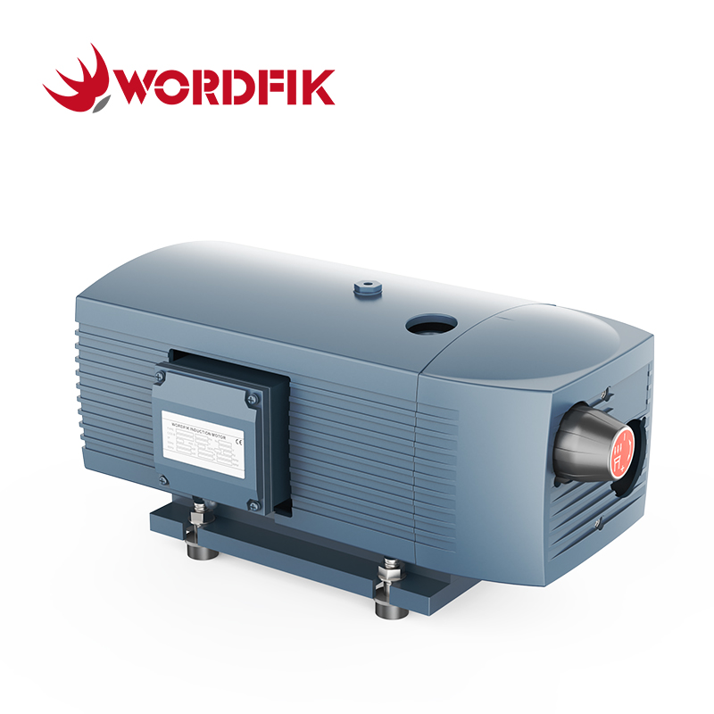 VD10 10 m³/h 12 m³/h 150 mbar Trockendrehungsschaufel Van Vakuumpumpe
