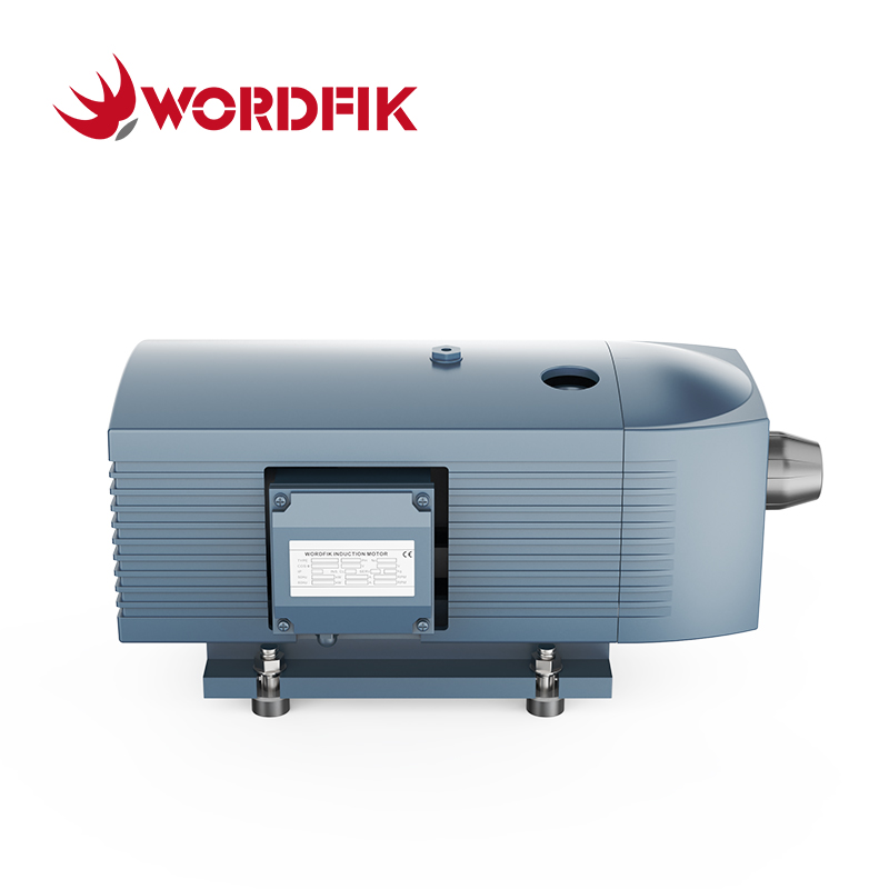 VD10 10 m³/h 12 m³/h 150 mbar Trockendrehungsschaufel Van Vakuumpumpe